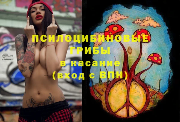 герыч Бронницы