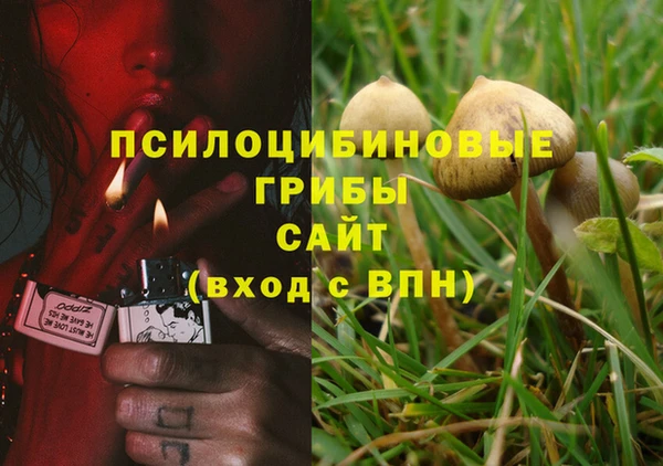 герыч Бронницы
