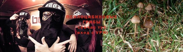 мдма Бородино