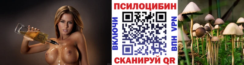 Псилоцибиновые грибы Psilocybe  купить   Якутск 